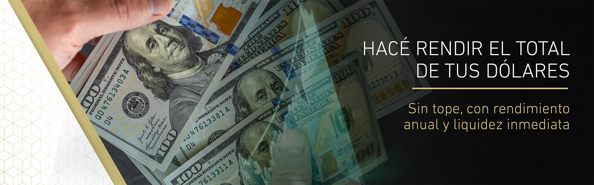 Haga rendir sus dólares
